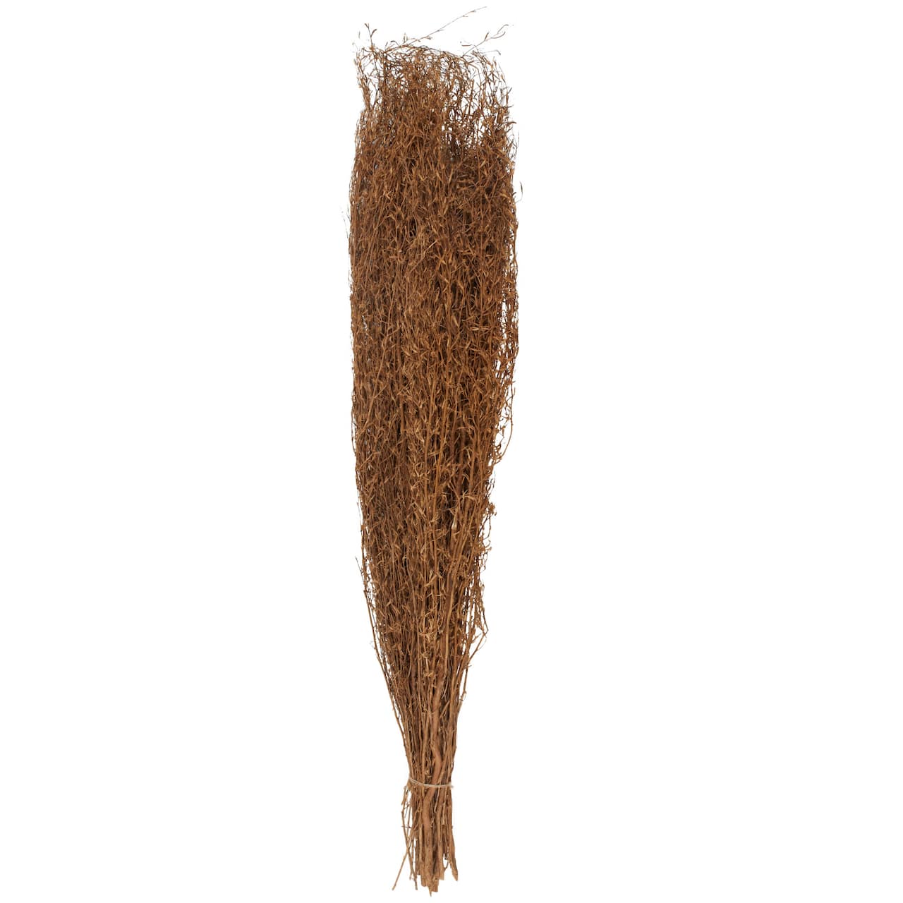 45" Brown Dried Natural Pampas Grass Foliage